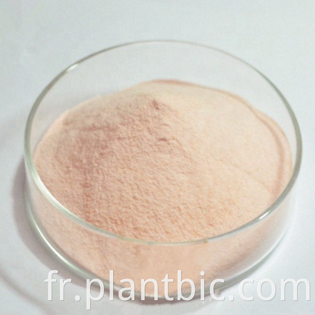 Freeze Dried Watermelon Powder Freeze Dried Watermelon Fruit Powder Watermelon Powder